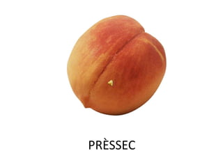 PRÈSSEC
 