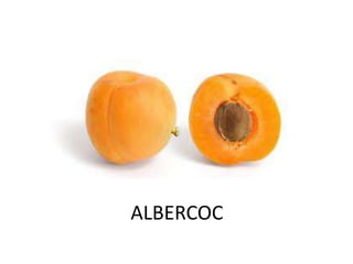 ALBERCOC
 