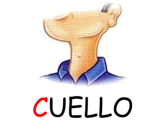 CUELLO
 