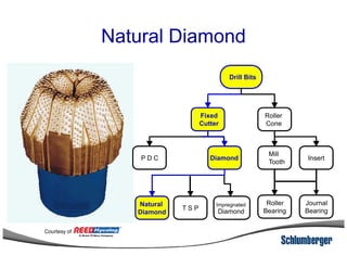 Natural Diamond
Drill Bits
Fixed
Cutter
Roller
Cone
Insert
Mill
Tooth
DiamondP D C
Natural
Diamond
Impregnated
DiamondT S P
Roller
Bearing
Journal
Bearing
Courtesy of
 