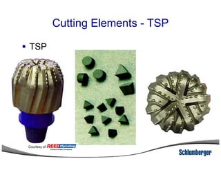 Cutting Elements - TSP
TSP
Courtesy of
 