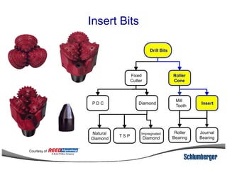 Insert Bits
Drill Bits
Fixed
Cutter
Roller
Cone
Insert
Mill
Tooth
DiamondP D C
Natural
Diamond
Impregnated
DiamondT S P
Roller
Bearing
Journal
Bearing
Courtesy of
 