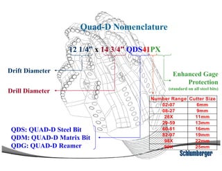 Quad-D Nomenclature
12 1/4” x 14 3/4” QDS41PX
Drift Diameter
Enhanced Gage
Protection
Drill Diameter
Number Range Cutter Size
02-07 6mm
08-27 9mm
28X 11mm
29-59 13mm
60-81 16mm
82-97 19mm
98X 22mm
99X 25mm
QDS: QUAD-D Steel Bit
QDM: QUAD-D Matrix Bit
QDG: QUAD-D Reamer
Protection
(standard on all steel bits)
 