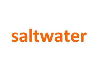 saltwater
 
