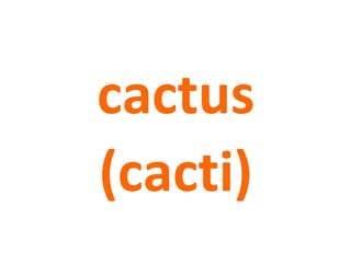 cactus
(cacti)
 