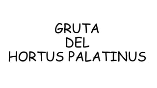 GRUTA
DEL
HORTUS PALATINUS
 