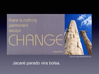 Suat Eman @FreeDigitalPhotos.net
Jacaré parado vira bolsa.
 