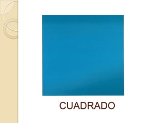 Instrumentos de vientoPOLÍGONOS