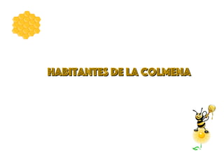 HABITANTES DE LA COLMENA
HABITANTES DE LA COLMENA
