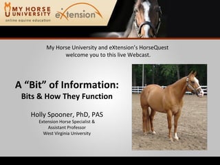 My Horse University and eXtension’s HorseQuest  welcome you to this live Webcast. A “Bit” of Information: Bits & How They Function Holly Spooner, PhD, PAS Extension Horse Specialist & Assistant Professor West Virginia University 