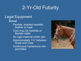Bits and equipment | PPT