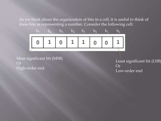 As we think about the organization of bits in a cell, it is useful to think of
these bits as representing a number. Consider the following cell:
Most significant bit (MSB)
Or
High-order end
Least significant bit (LSB)
Or
Low-order end
b7 b6 b5 b4 b3 b2 b1 b0
 