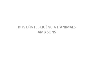 BITS D’INTEL·LIGÈNCIA D’ANIMALS
AMB SONS
 