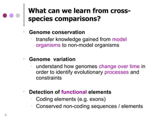 BITS - Introduction to comparative genomics | PDF