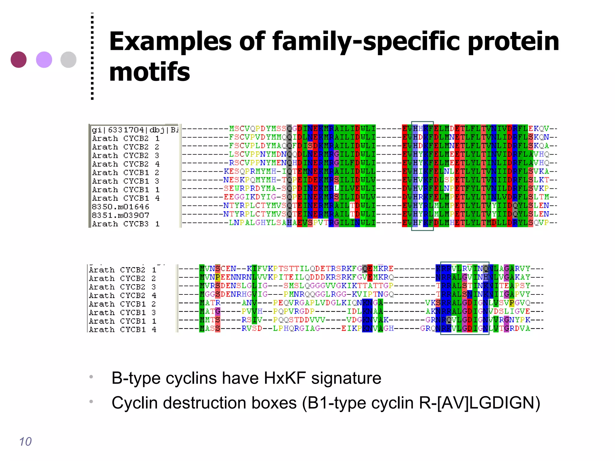 Examples of family-specific protein
         motifs




        B-type cyclins have HxKF signature
        Cyclin destruction boxes (B1-type cyclin R-[AV]LGDIGN)

10
 