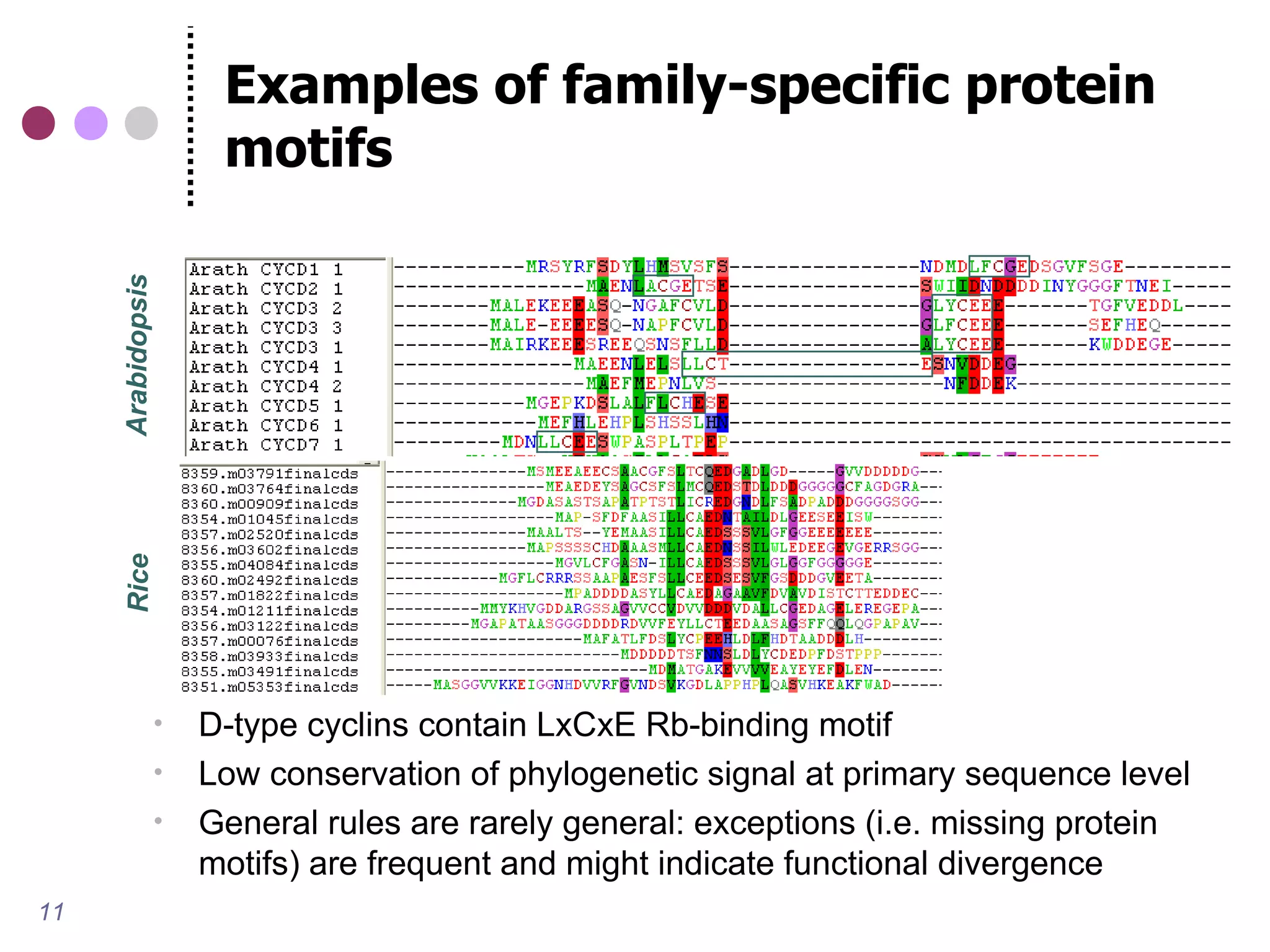 Examples of family-specific protein
     Arabidopsis
     Rice
                        motifs




                      D-type cyclins contain LxCxE Rb-binding motif
                      Low conservation of phylogenetic signal at primary sequence level
                      General rules are rarely general: exceptions (i.e. missing protein
                       motifs) are frequent and might indicate functional divergence
11
 