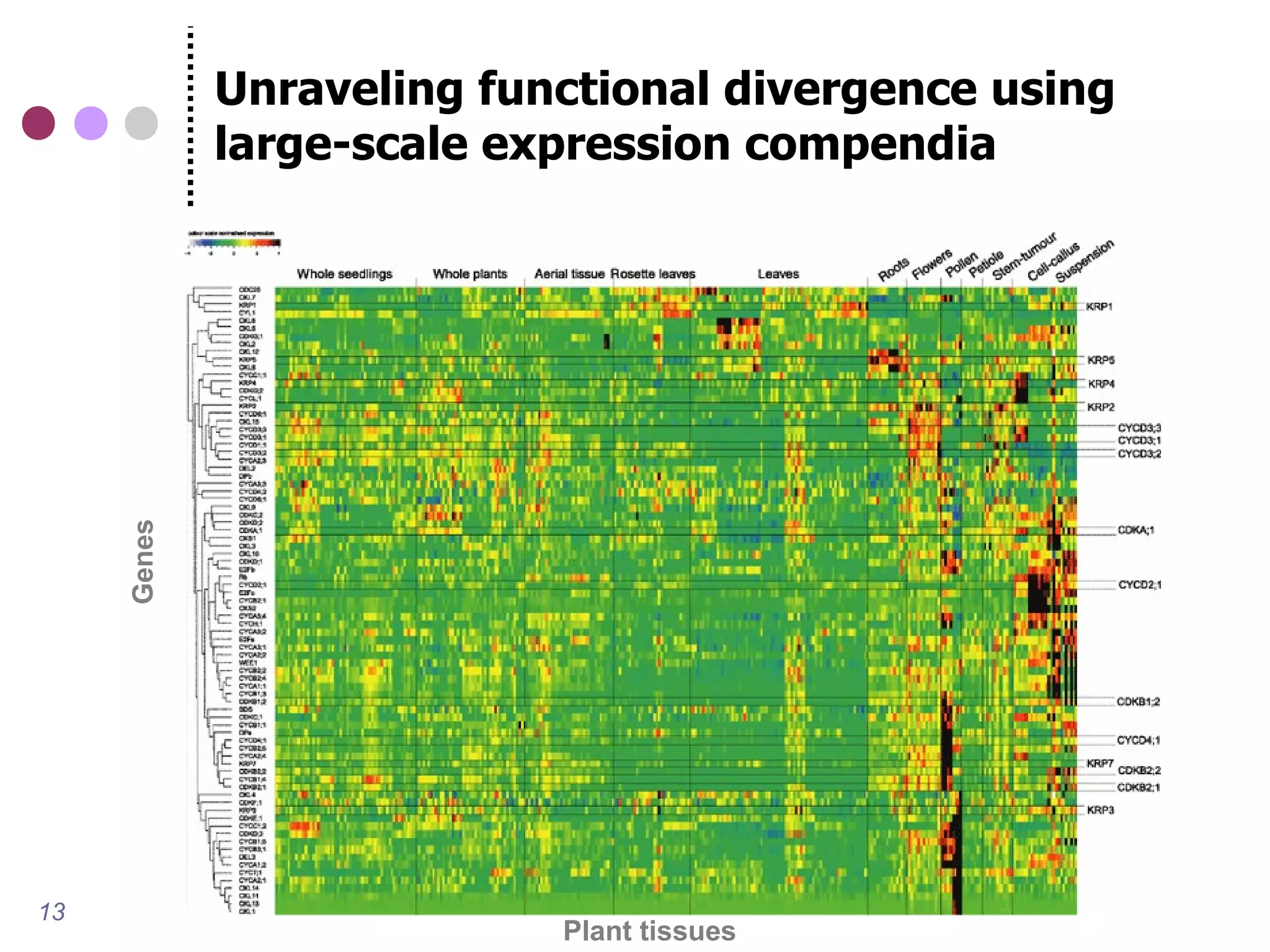 Unraveling functional divergence using
     Genes   large-scale expression compendia




13
                           Plant tissues
 