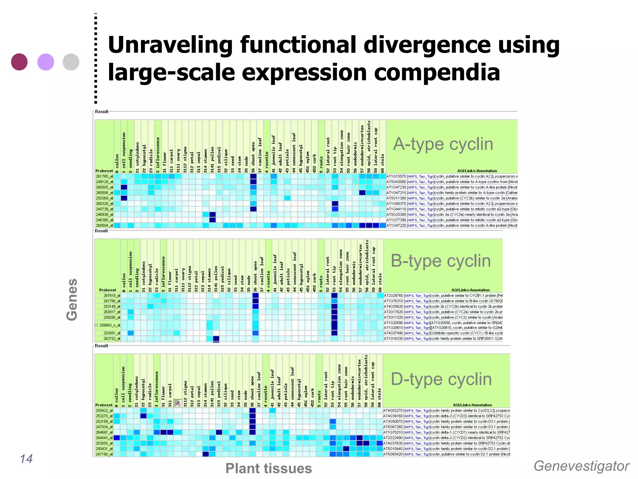 Unraveling functional divergence using
             large-scale expression compendia


                                      A-type cyclin




                                      B-type cyclin
     Genes




                                      D-type cyclin



14
                      Plant tissues                   Genevestigator
 