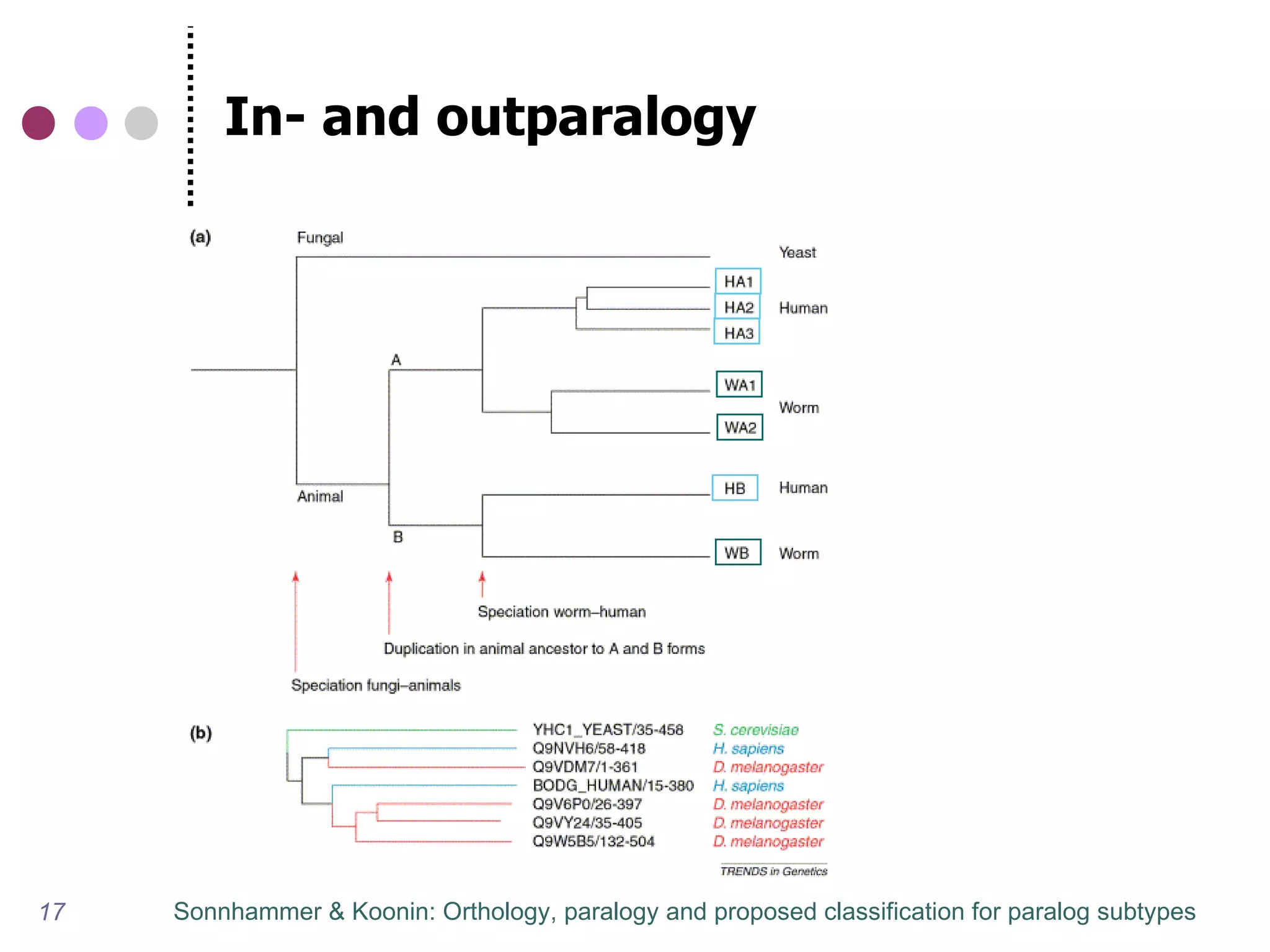 In- and outparalogy




17   Sonnhammer & Koonin: Orthology, paralogy and proposed classification for paralog subtypes
 