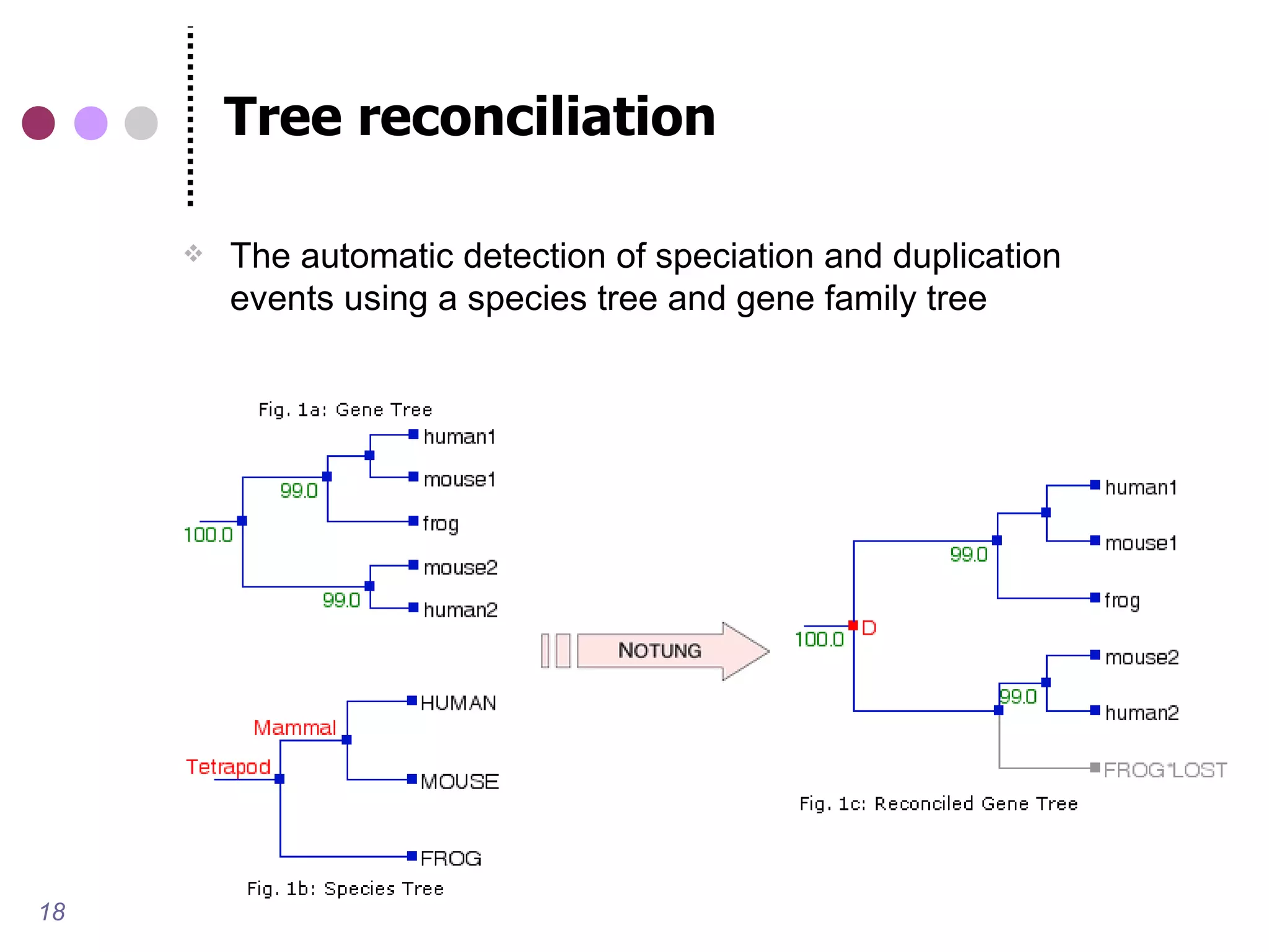 Tree reconciliation

        The automatic detection of speciation and duplication
         events using a species tree and gene family tree




18
 