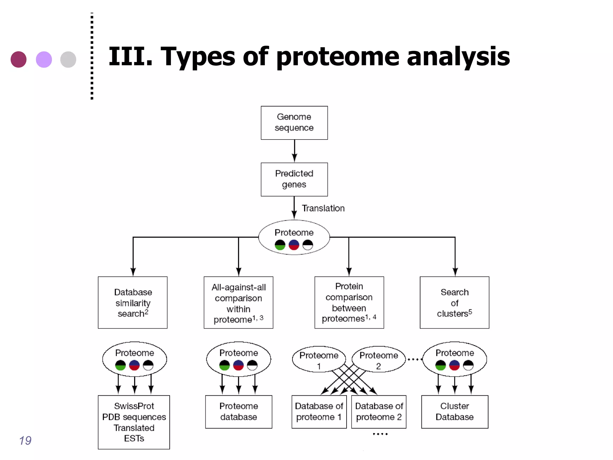 III. Types of proteome analysis




19
 