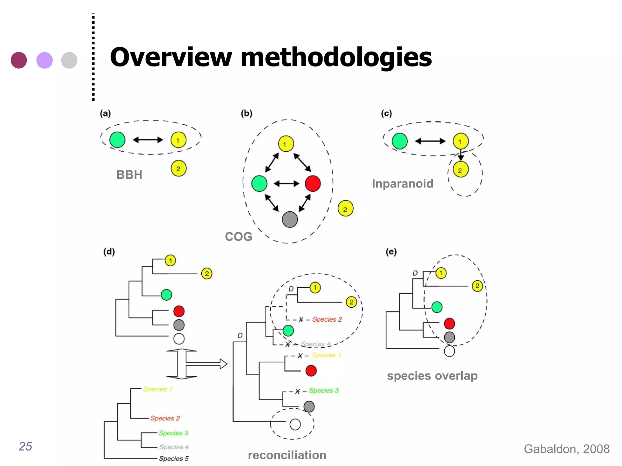 Overview methodologies



     BBH
                               Inparanoid



            COG




                                 species overlap




25                                                 Gabaldon, 2008
              reconciliation
 