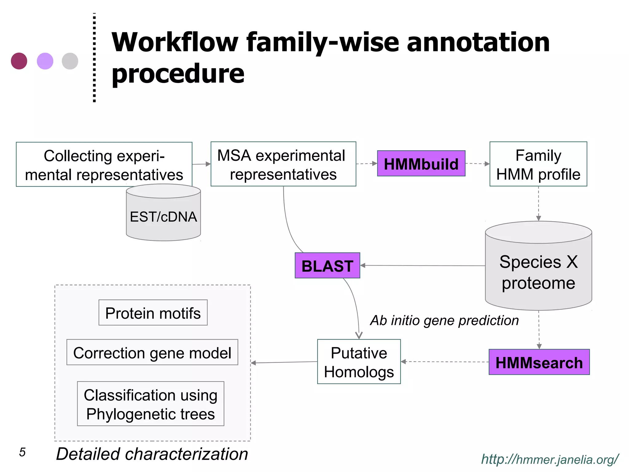 Workflow family-wise annotation
            procedure

  Collecting experi-        MSA experimental                          Family
                                                 HMMbuild
mental representatives       representatives                        HMM profile

              EST/cDNA


                                      BLAST                         Species X
                                                                    proteome
           Protein motifs                      Ab initio gene prediction

      Correction gene model               Putative
                                                                    HMMsearch
                                         Homologs
        Classification using
        Phylogenetic trees

5   Detailed characterization                                    http://hmmer.janelia.org/
 