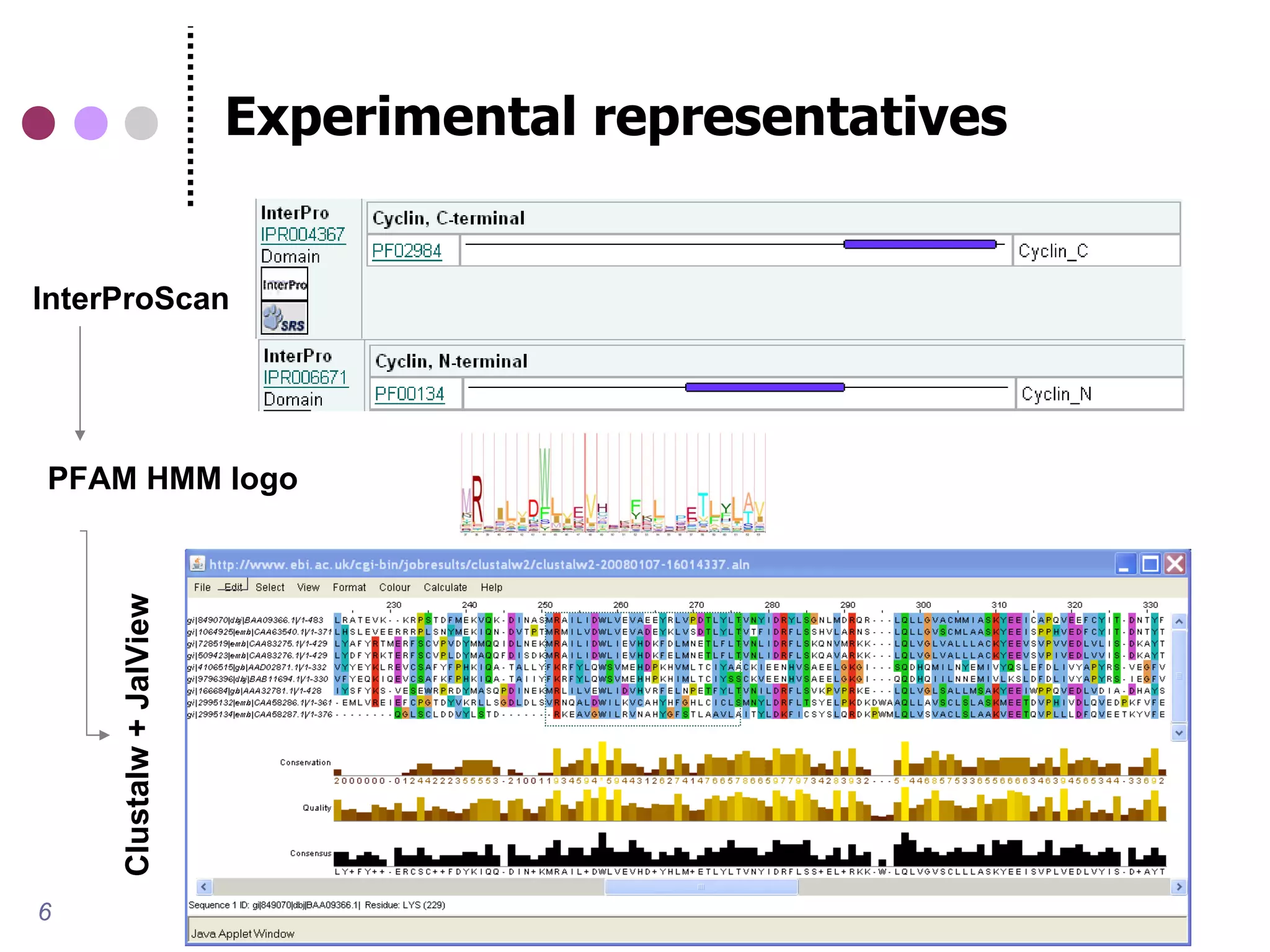 Experimental representatives


InterProScan




PFAM HMM logo
     Clustalw + JalView




6
 