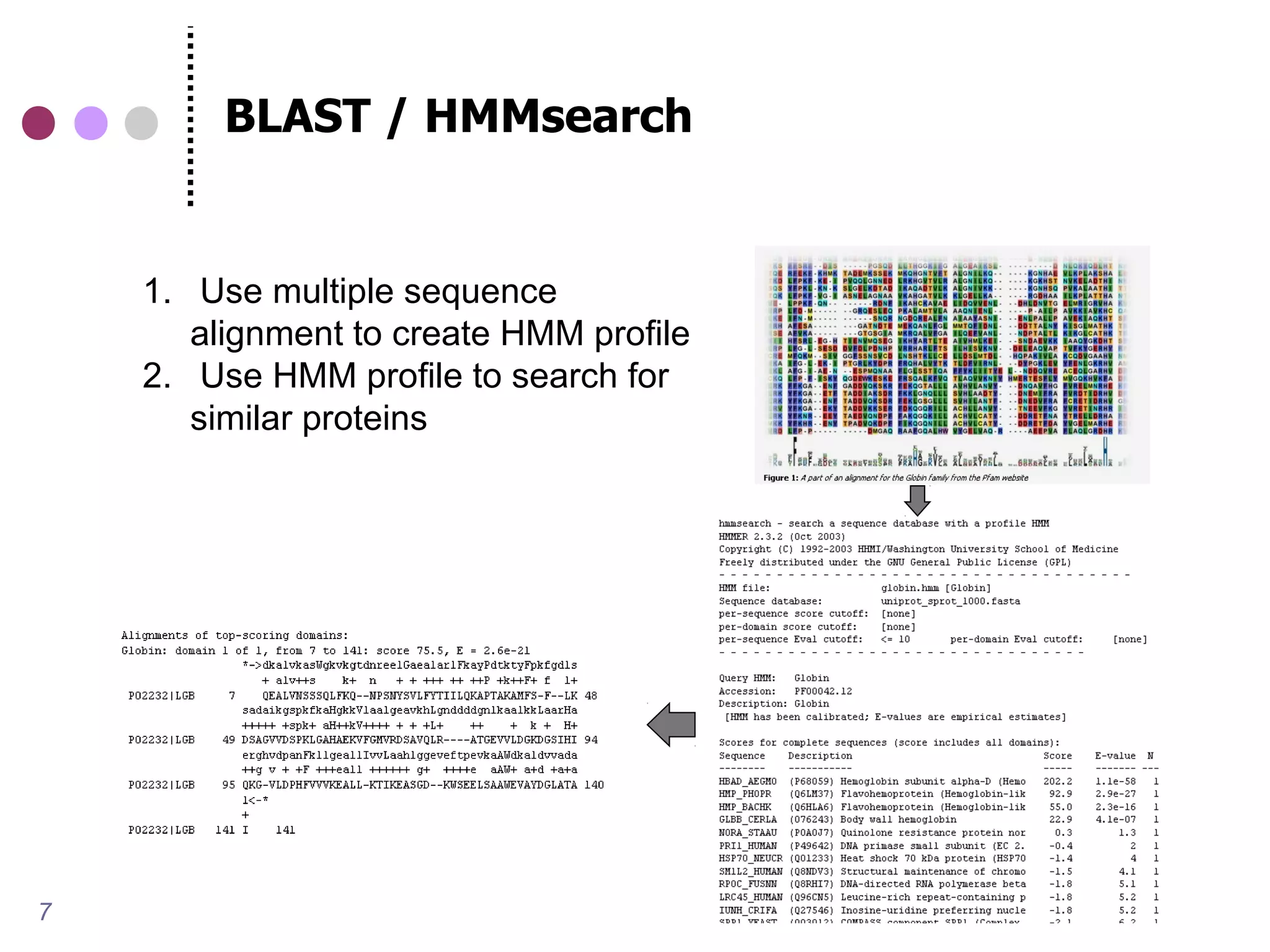 BLAST / HMMsearch


    1. Use multiple sequence
       alignment to create HMM profile
    2. Use HMM profile to search for
       similar proteins




7
 