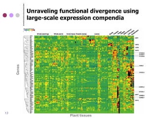Unraveling functional divergence using
     Genes   large-scale expression compendia




13
                           Plant tissues
 