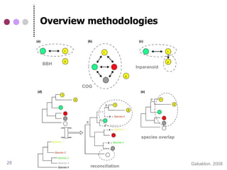 Overview methodologies



     BBH
                               Inparanoid



            COG




                                 species overlap




25                                                 Gabaldon, 2008
              reconciliation
 