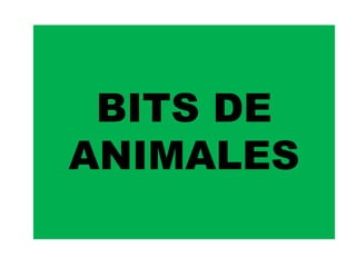 BITS DE
ANIMALES
 