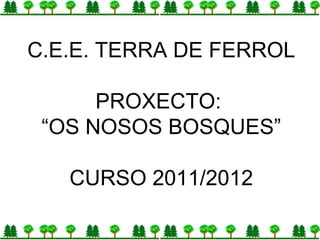C.E.E. TERRA DE FERROL PROXECTO:  “ OS NOSOS BOSQUES” CURSO 2011/2012 