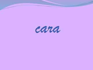 cara

 