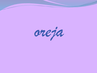 oreja

 