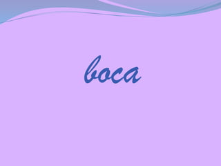 boca

 