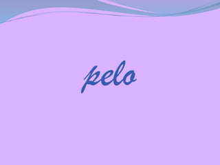 pelo

 