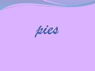 pies

 