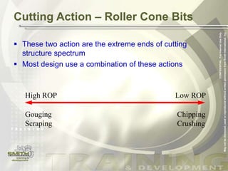 Bit Selection.ppt