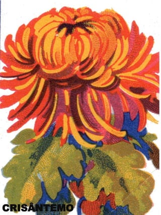 CRISÂNTEMO

 