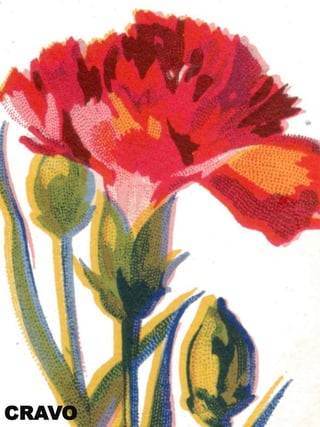 CRAVO

 