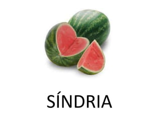 SÍNDRIA
 