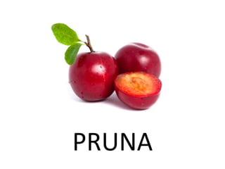 PRUNA
 