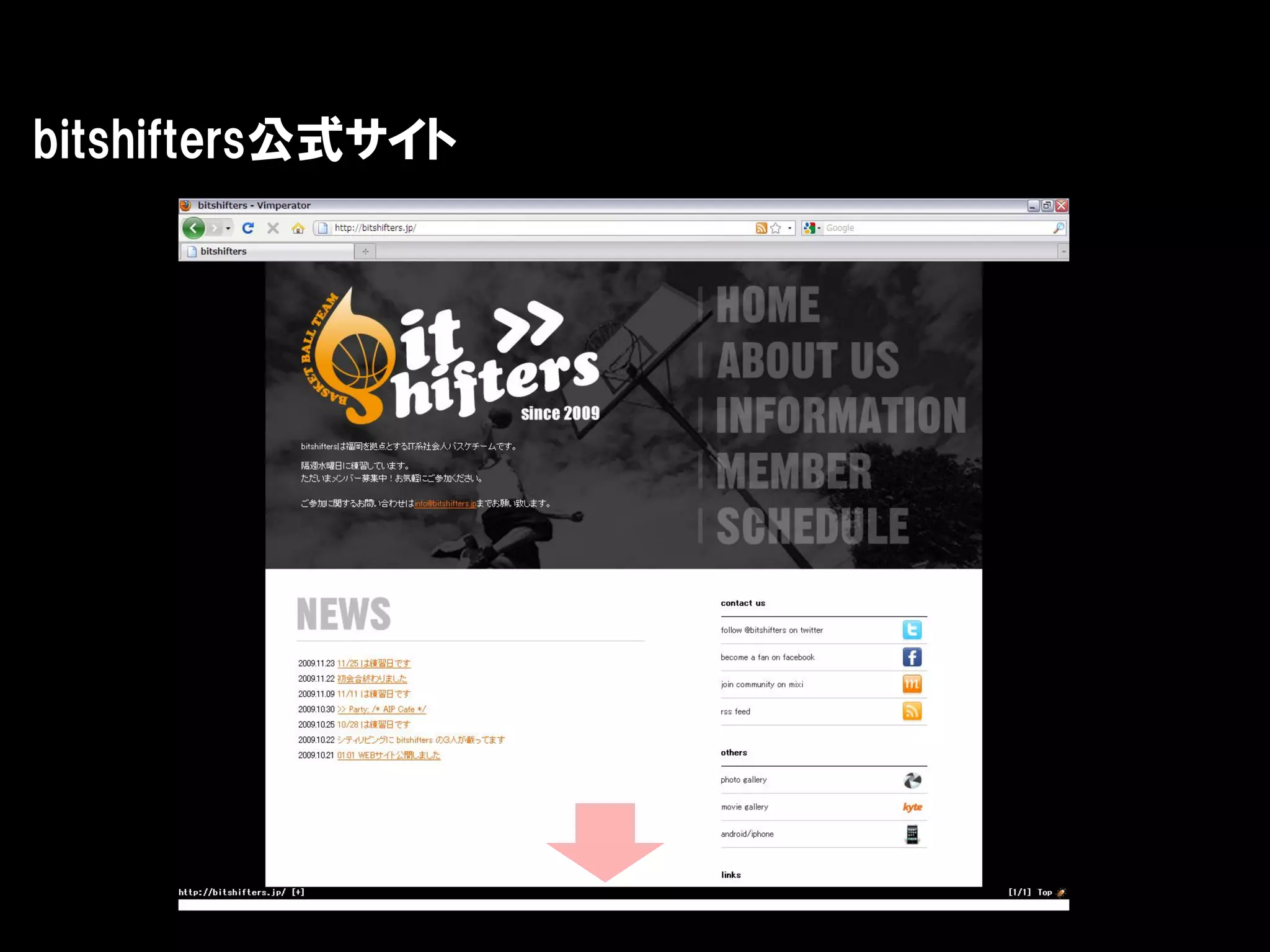 bitshifters公式サイト
 