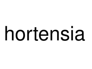hortensia
     
 