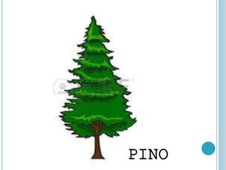 PINO