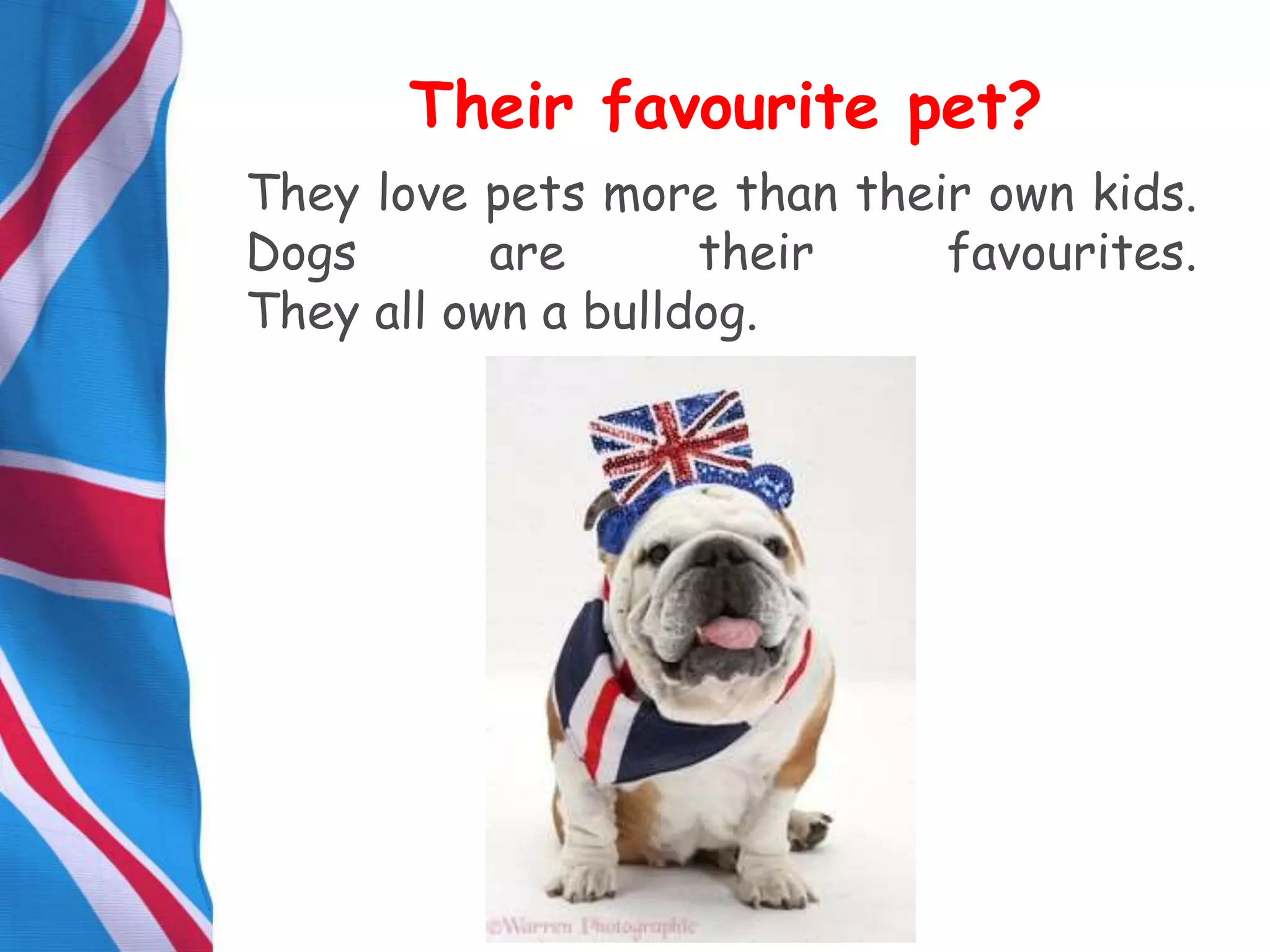 They love pets more than their own kids.
Dogs are their favourites.
They all own a bulldog.
Their favourite pet?
 