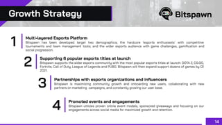 Growth Strategy
14
Multi-layered Esports Platform
Bitspawn has been developed target two demographics; the hardcore ‘espor...