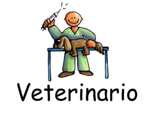 Veterinario