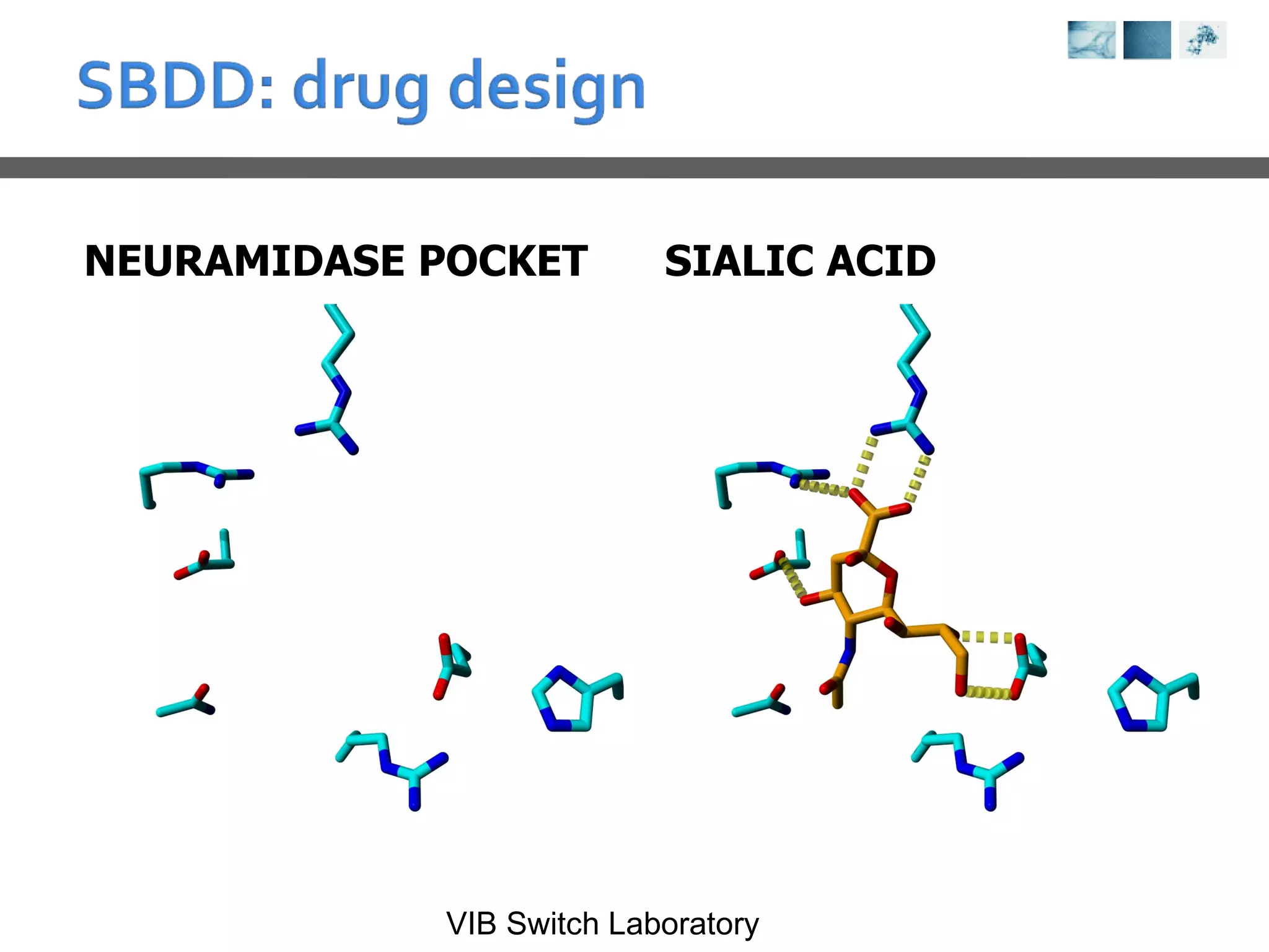 NEURAMIDASE POCKET SIALIC ACID 